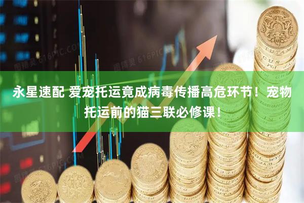 永星速配 爱宠托运竟成病毒传播高危环节！宠物托运前的猫三联必修课！