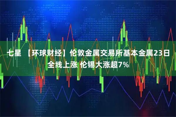 七星 【环球财经】伦敦金属交易所基本金属23日全线上涨 伦锡大涨超7%