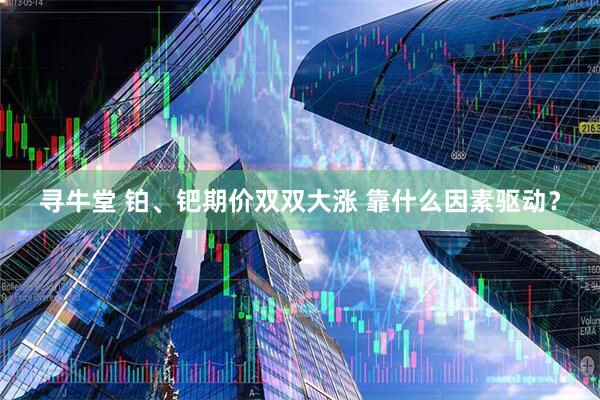 寻牛堂 铂、钯期价双双大涨 靠什么因素驱动？