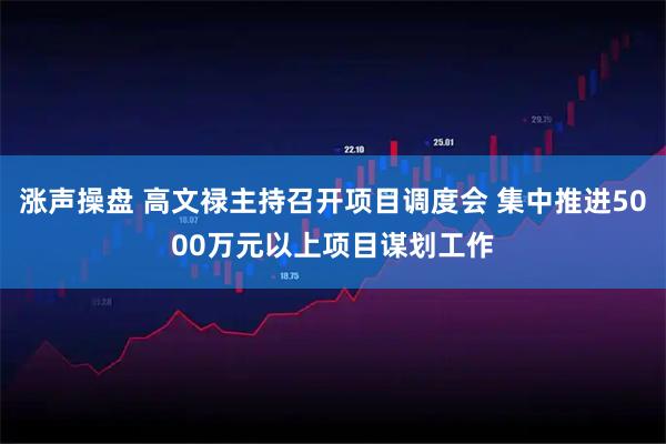 涨声操盘 高文禄主持召开项目调度会 集中推进5000万元以上项目谋划工作