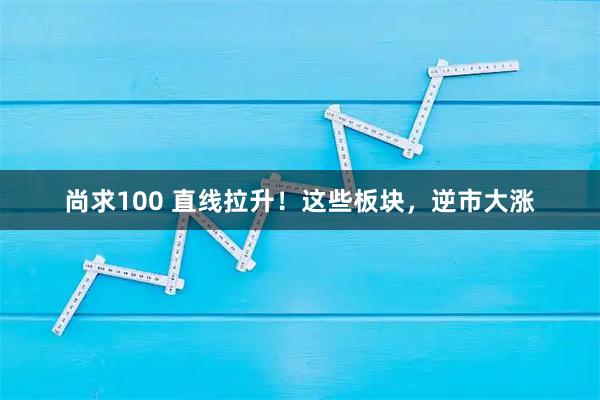 尚求100 直线拉升！这些板块，逆市大涨